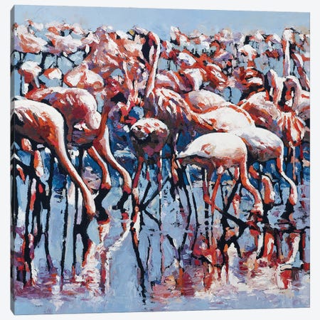 Pretty Flamingos Canvas Print #HNC36} by John Hancock Canvas Wall Art