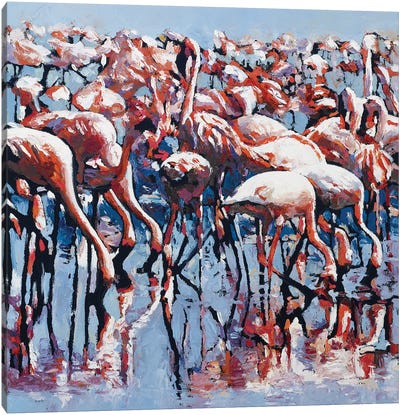 Pretty Flamingos Canvas Art Print - John Hancock