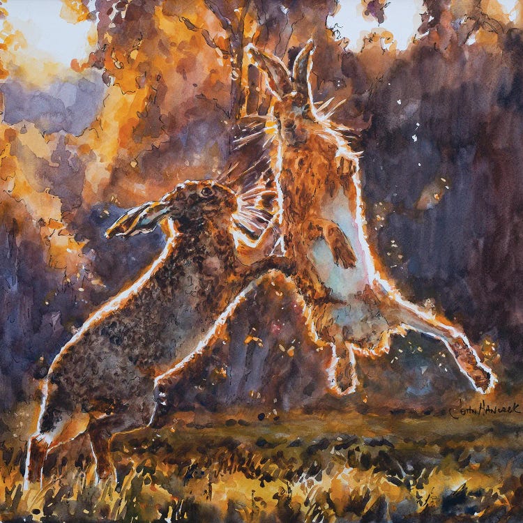 Boxing Hares