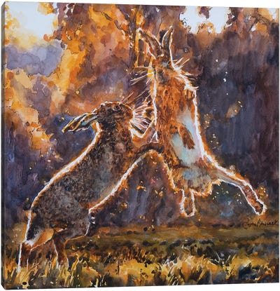 Boxing Hares Canvas Art Print - John Hancock