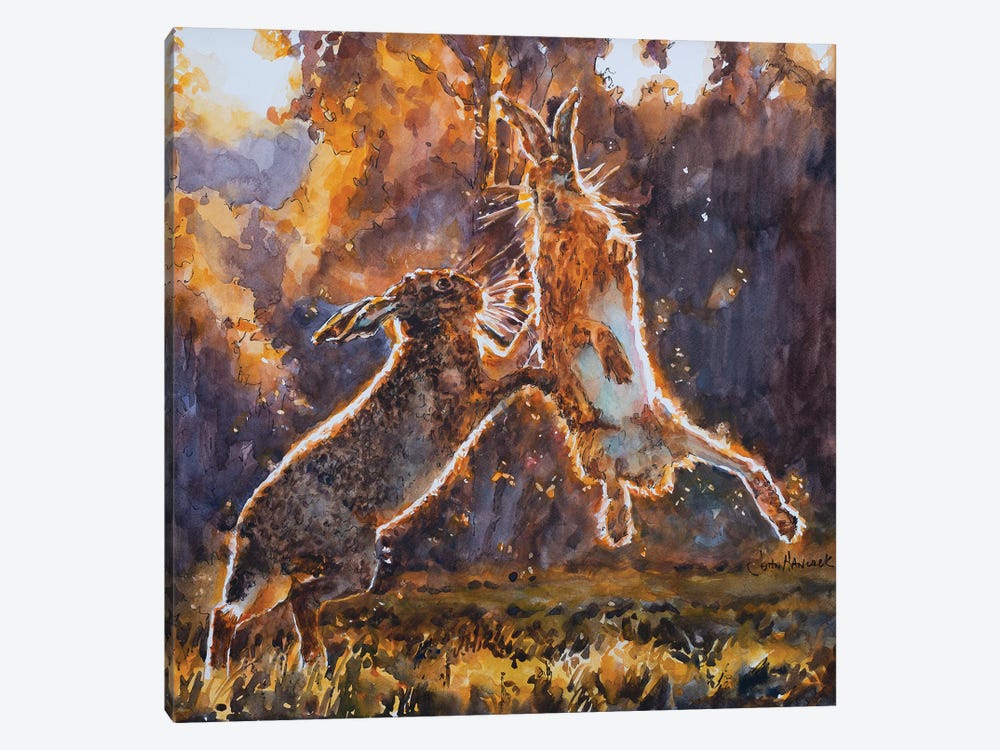 Boxing Hares by John Hancock 1-piece Canvas Art Print