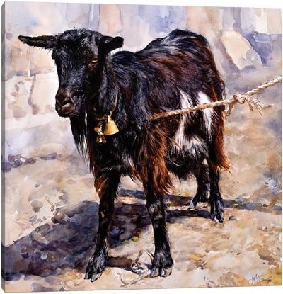 Das Goat Canvas Art Print - Intricate Watercolors