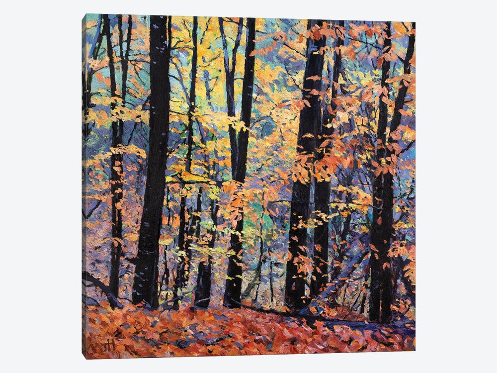 Elm Trees In The Fall by John Hancock 1-piece Canvas Art