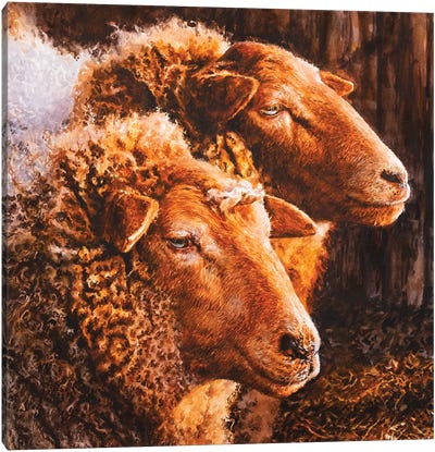 Ewes Canvas Art Print - Intricate Watercolors