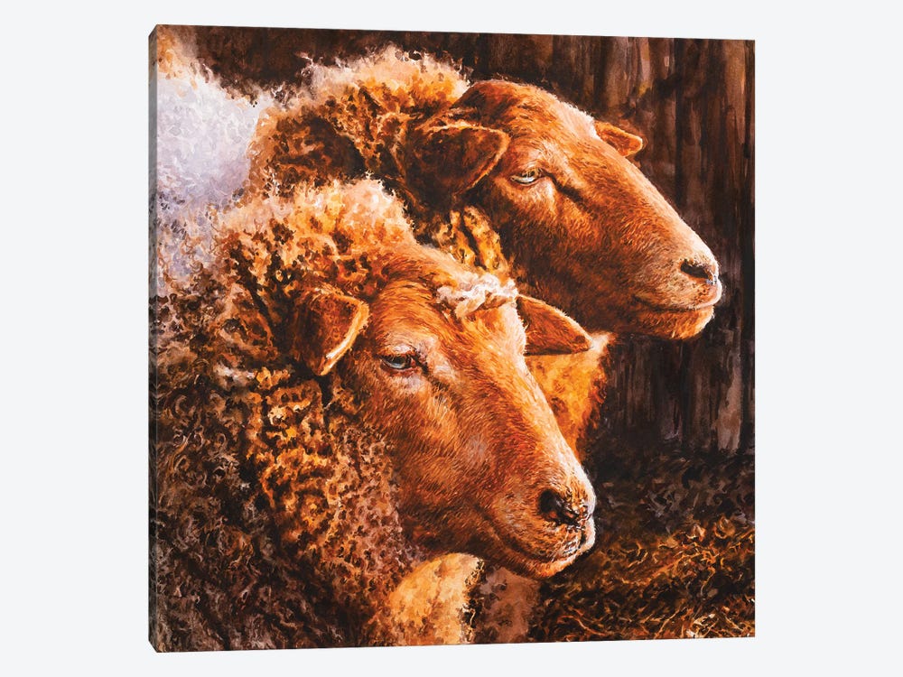 Ewes by John Hancock 1-piece Canvas Wall Art