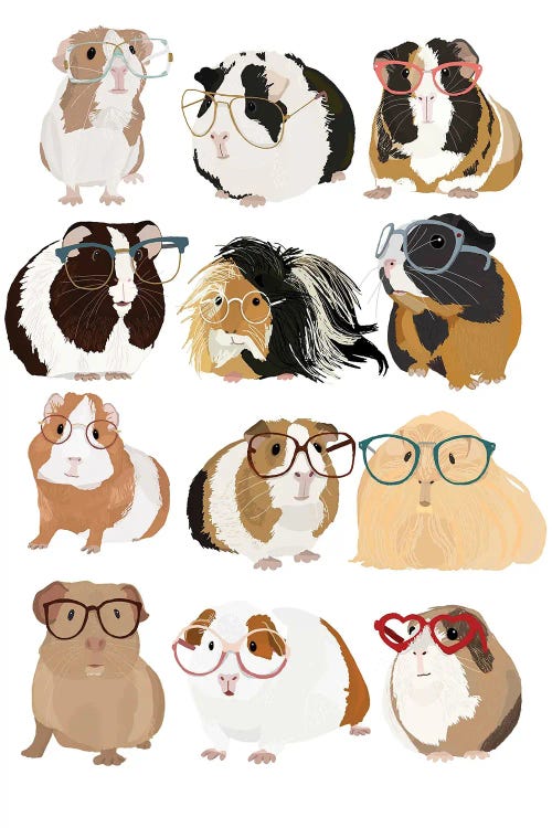 Guinea Pigs In Glasses