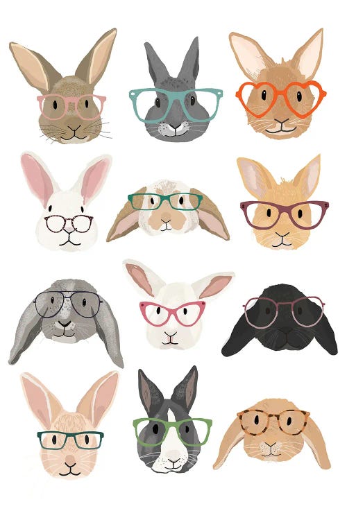 Rabbits in Glasses