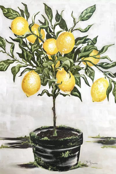 Lemon Tree by Hollihocks Art framed canvas print