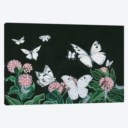 Butterflies Canvas Print #HOA26} by Hollihocks Art Canvas Artwork