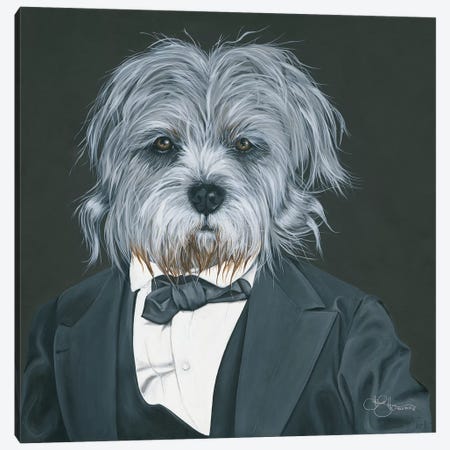 Dog in Suit Canvas Print #HOA28} by Hollihocks Art Canvas Art Print