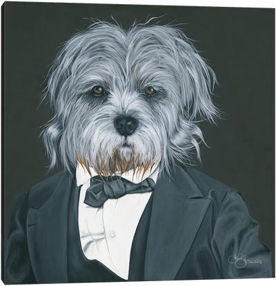 Dog in Suit Canvas Art Print - Yorkshire Terrier Art