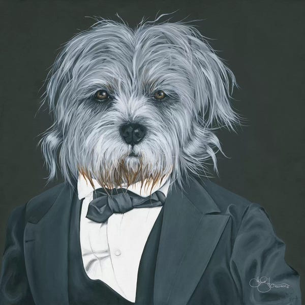 Yorkshire Terriers: Dog in Suit by Hollihocks Art