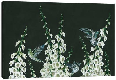 Hummingbirds Canvas Art Print - Hummingbird Art