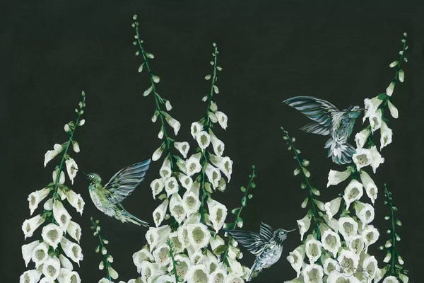 Hummingbirds: Hummingbirds by Hollihocks Art