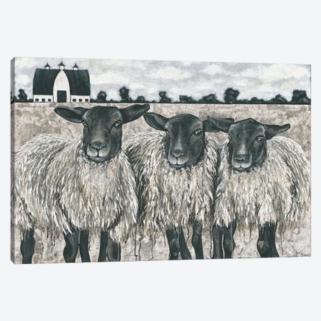 Three Sheep Canvas Print #HOA39} by Hollihocks Art Canvas Artwork
