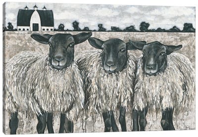 Three Sheep Canvas Art Print