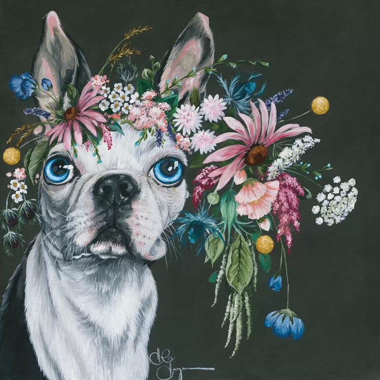 Boston Terrier by Hollihocks Art wall art