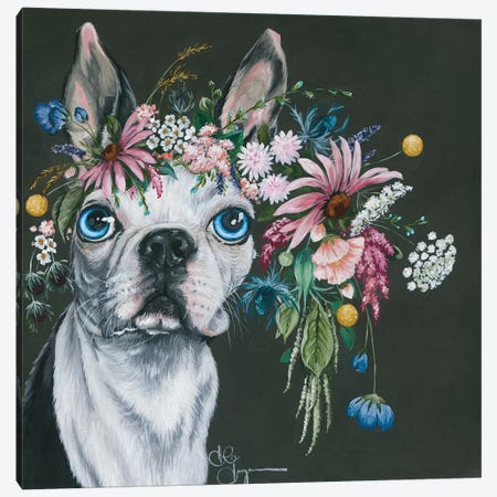 Boston Terrier Canvas Print #HOA3} by Hollihocks Art Canvas Artwork