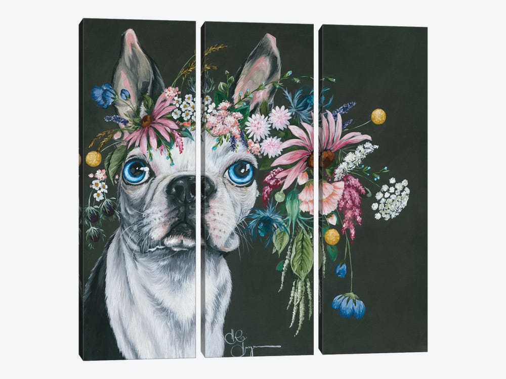 Boston Terrier by Hollihocks Art 3-piece Canvas Art