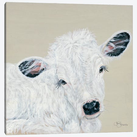 White Calf Canvas Print #HOA43} by Hollihocks Art Art Print