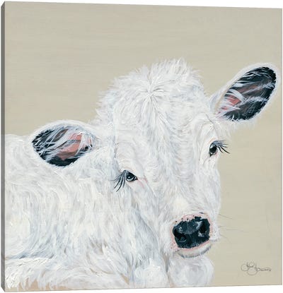 White Calf Canvas Art Print