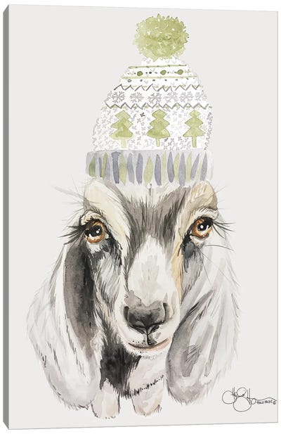 Cozy Goat   Canvas Art Print