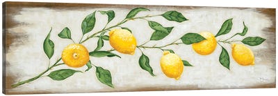 Lemon Branch Canvas Art Print