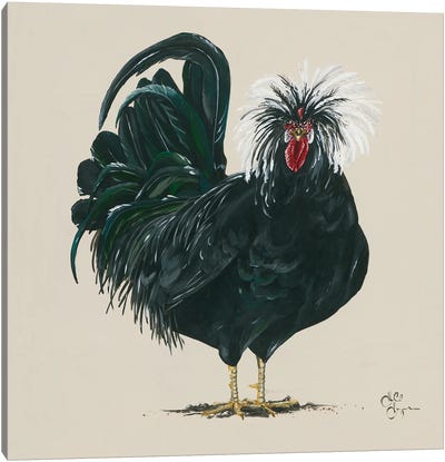 Chicken Canvas Art Print