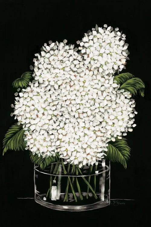 Hydrangea In Vase