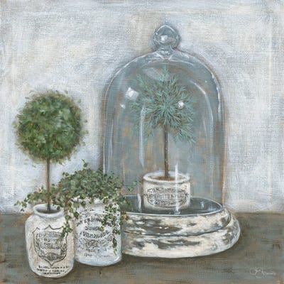 Little Topiaries by Hollihocks Art framed canvas print