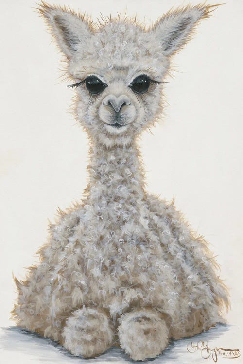 Baby Alpaca