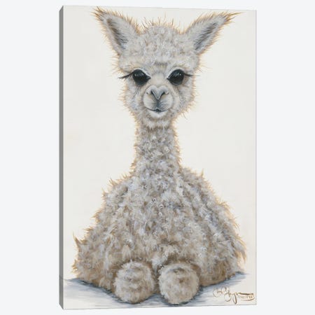 Baby Alpaca Canvas Print #HOA88} by Hollihocks Art Art Print