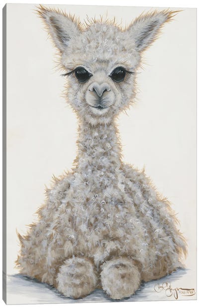 Baby Alpaca Canvas Art Print - Llama & Alpaca Art