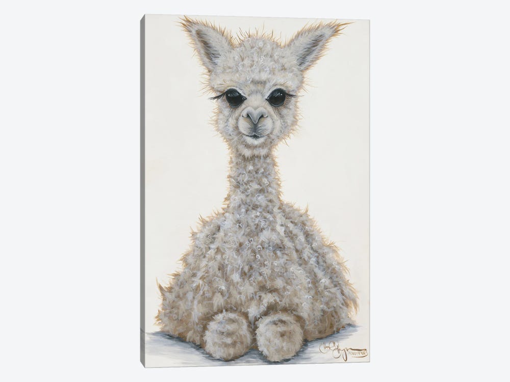 Baby Alpaca by Hollihocks Art 1-piece Canvas Wall Art