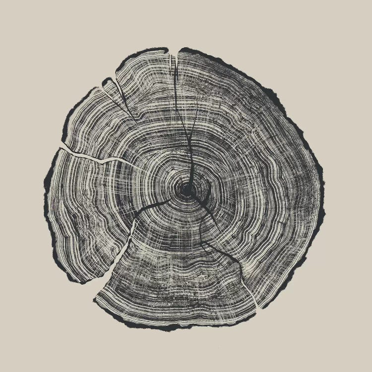 Hand-Drawn Oak