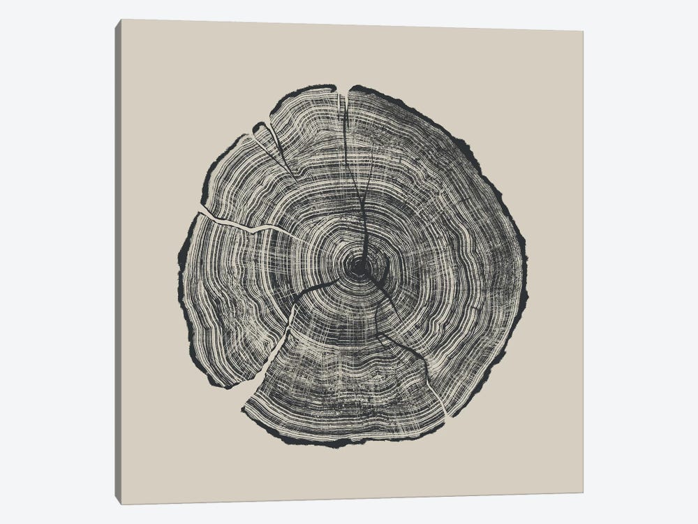 Hand-Drawn Oak by Dan Hobday 1-piece Canvas Art Print