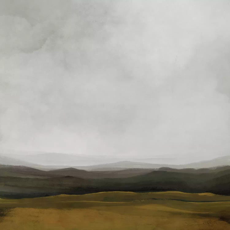 Dart View by Dan Hobday wall art