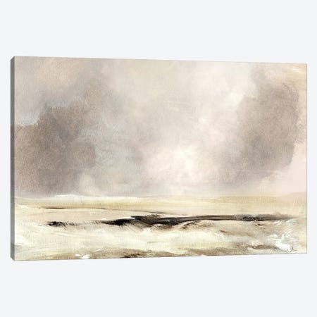 Southwesterly Canvas Print #HOB168} by Dan Hobday Canvas Art Print