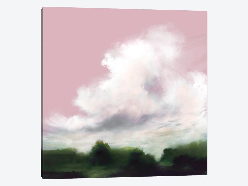 Orchid View by Dan Hobday 1-piece Canvas Print