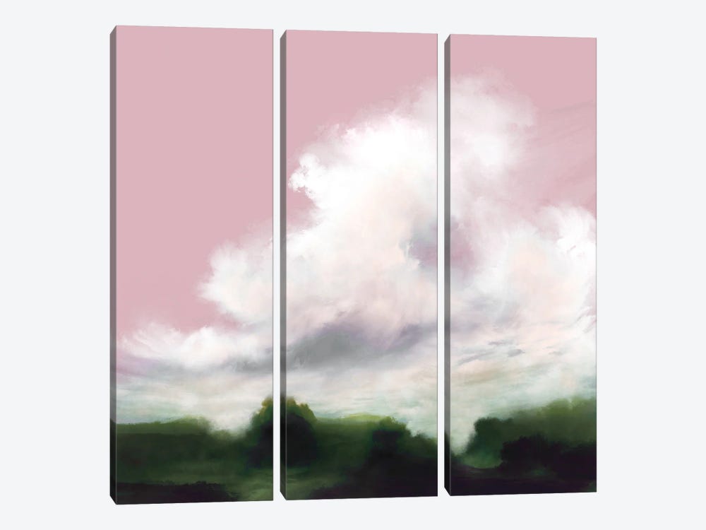 Orchid View by Dan Hobday 3-piece Canvas Art Print