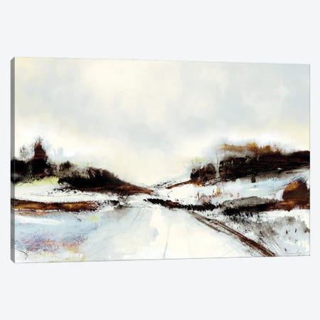 Winter Road Canvas Print #HOB190} by Dan Hobday Canvas Art