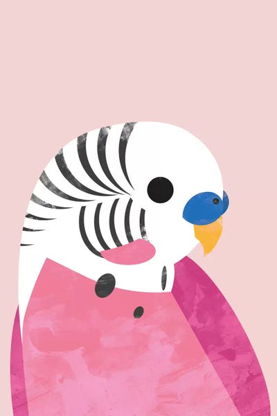 Mid-Century Modern Animals: Budgie by Dan Hobday