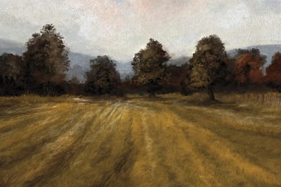 Wood Edge by Dan Hobday framed wall art