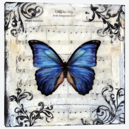 Flutterby 8 Canvas Print #HOD112} by Heather Offord Canvas Art
