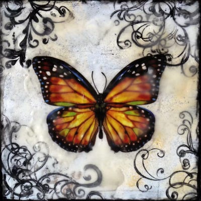 Flutterby 12 by Heather Offord canvas print
