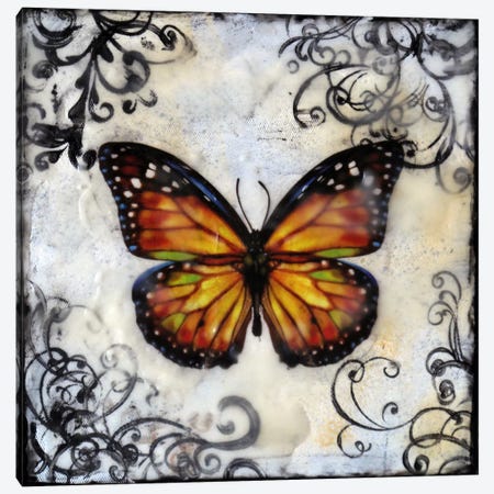 Flutterby 12 Canvas Print #HOD114} by Heather Offord Art Print