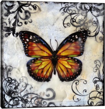 Flutterby 12 Canvas Art Print - Heather Offord