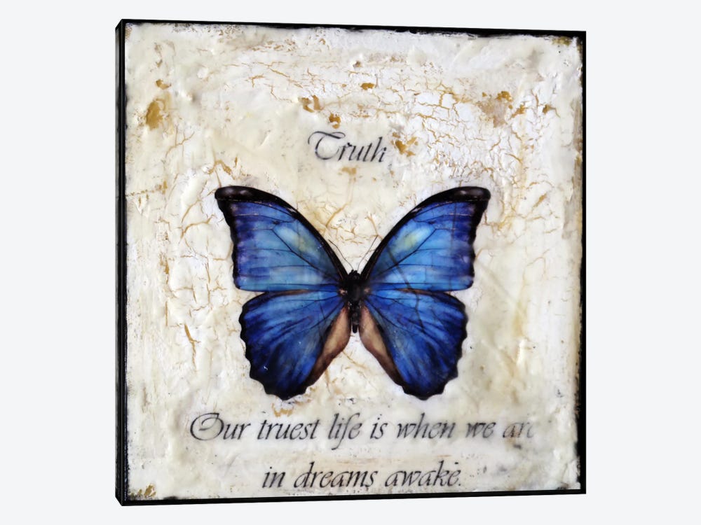 Flutterby 13 by Heather Offord 1-piece Canvas Wall Art