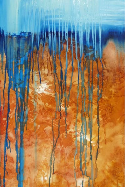 Southwest Décor: Like The Deserts Miss The Rain by Heather Offord