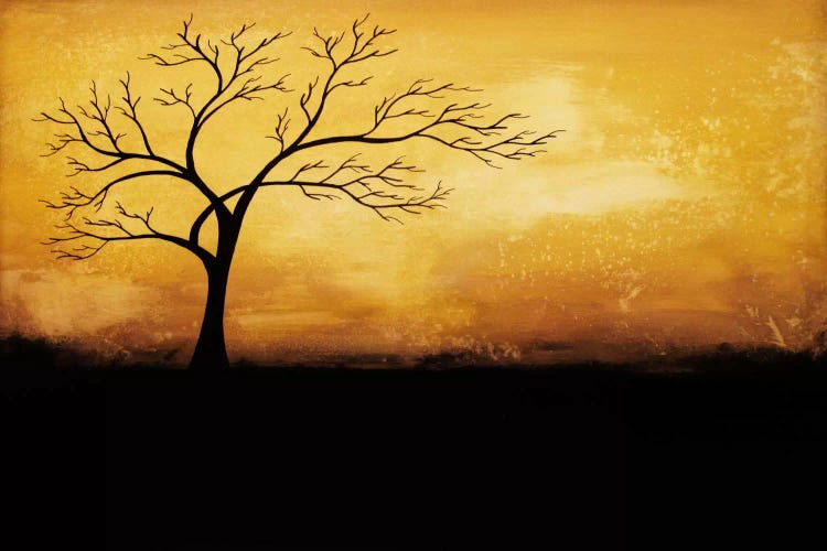 Morning Glory by Heather Offord wall art